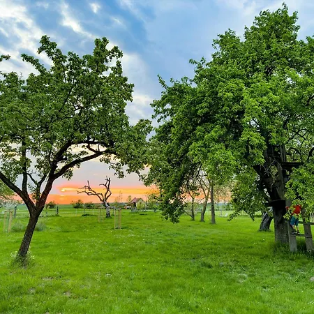 Vacation With Sauna And Garden View