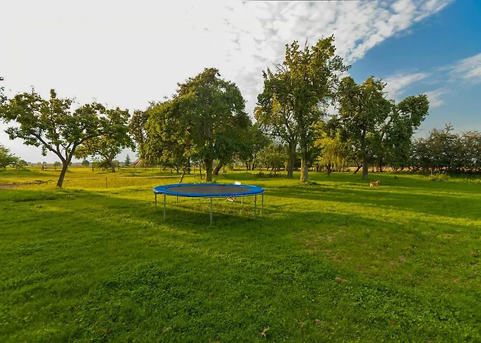 Dom wakacyjny Vacation With Sauna And Garden View Walow