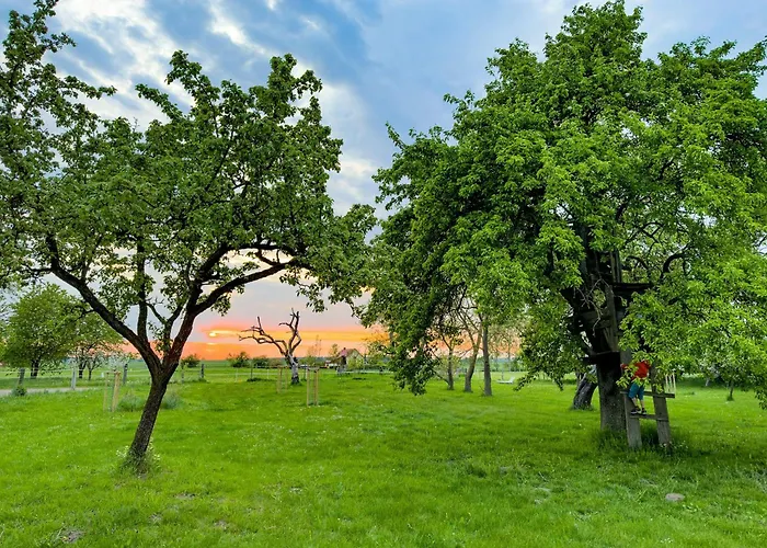 Vacation With Sauna And Garden View